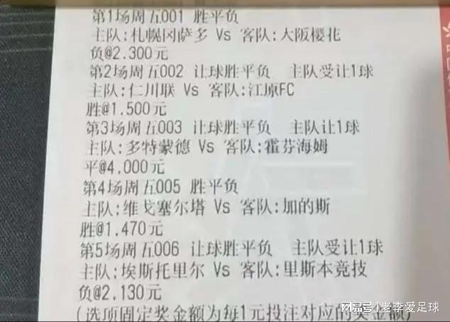 管家最准一码一肖100;精选解释解析落实